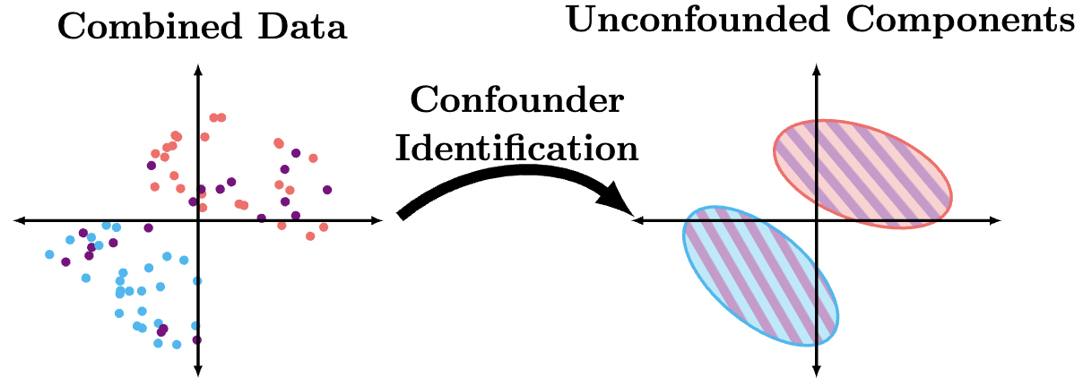 Confounder Identification | Bijan Mazaheri