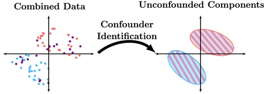 Confounder Identification